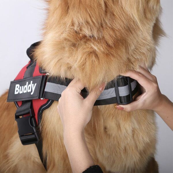 Personalized Dog Harness19.jpg