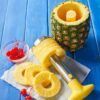 Pineapple Peeler13.jpg