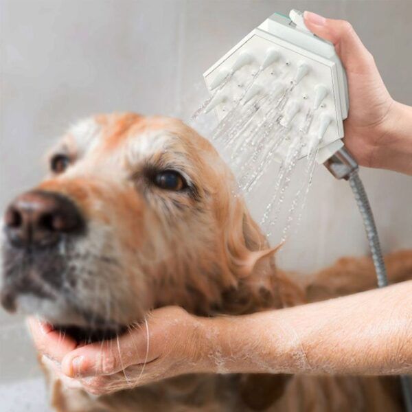pet shower brush_0001_Layer 2.jpg