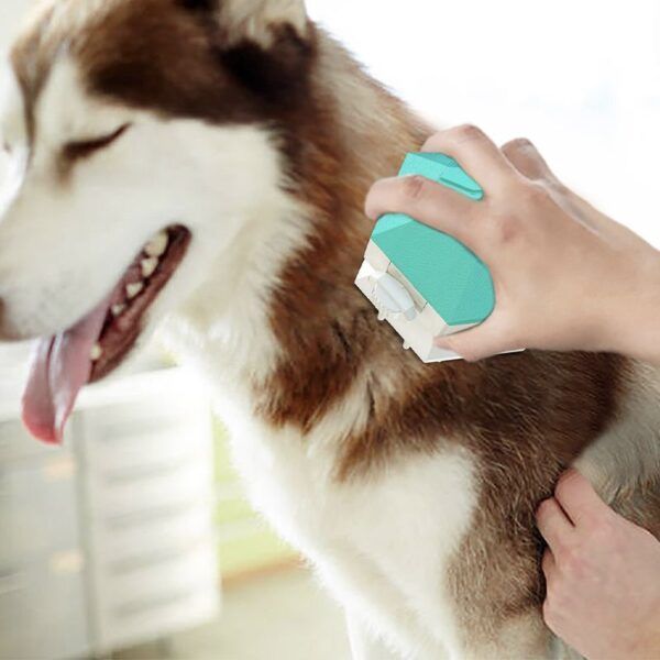 pet shower brush_0008_img_18_56_Pet_Massage_Brush_For_Dogs_And_Cats_.jpg