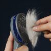Furry Comb Massager_0009_img_3_Cat_Comb_Dog_Comb_Cat_Hair_Brush_Pet_Dog.jpg