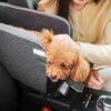 small dog car seat_0004_Layer 4.jpg
