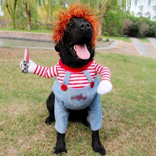 Dog Halloween costume10.jpg